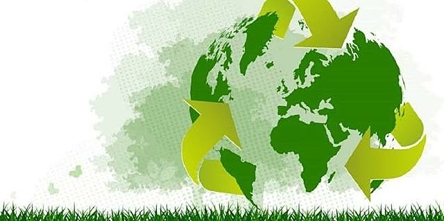 Primeras manifestaciones en defensa de la ecología (décadas de los 50’s y 60’s)