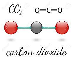 Química del Carbono