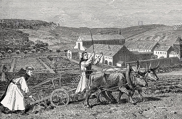 More Food Fuels Growth