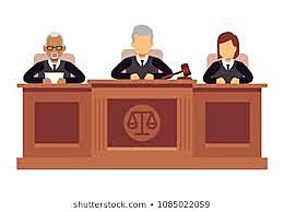 RECOMENDACIONES ACERCA DE CÓMO ARGUMENTAR UN CASO