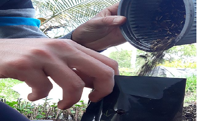 colocación de tierra en fundas