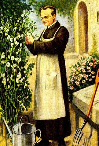 Trabajo de Gregorio Mendel