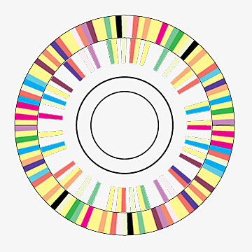 1mer. genoma secuenciado