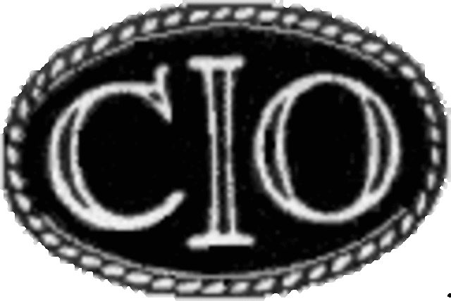 Congress of Industrial Organization