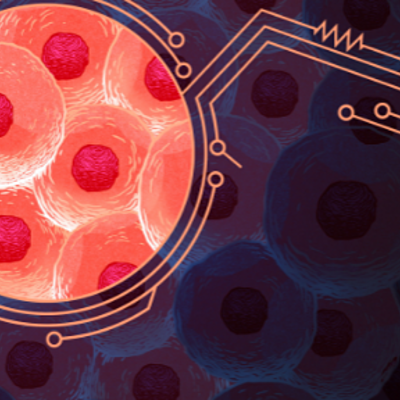 Timeline: the cell theory
