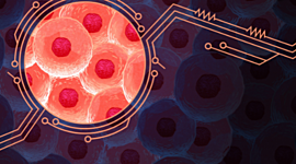 Timeline: the cell theory