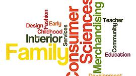 Timeline: Curriculum Development