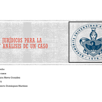 Timeline: Principios jurídicos para la solución y análisis de un caso