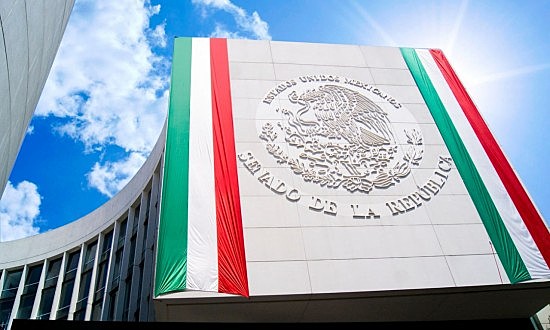 Se presenta ante el Pleno de la Cámara de Senadores un proyecto