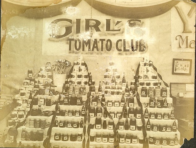 The first girl’s tomato club (4-H) organized by teacher Marie Cromer ~Agricultural Extension