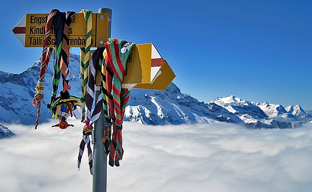 Movimiento Escout Católico.