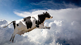 Timeline: The most important events of my life