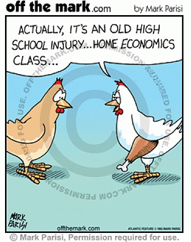 5 major Home Economics Associations create a process to evaluate the mission, breadth and scope of the profession