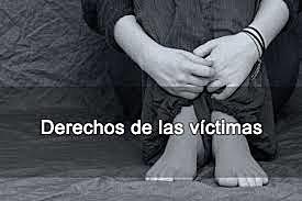 LAS VÍCTIMAS DE LOS DELITOS