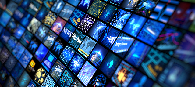 Data Inspektion Board.