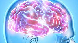 Timeline: La neuropsicología en México