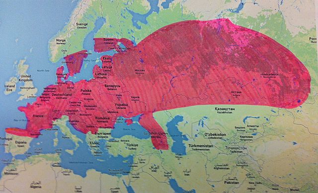 lebensraum (livsutrymme)