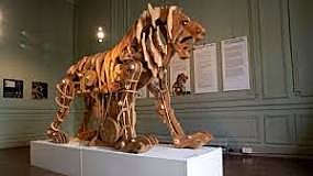 Lion de léonard de Vincy