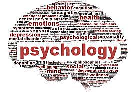 College Major Change