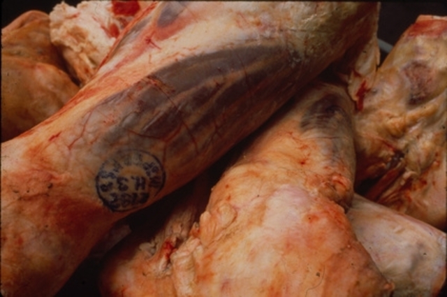 Pure Food and Drug Act