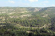 1714, Batalla de Talamanca