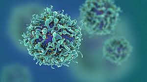 Se descubre el virus del sida.