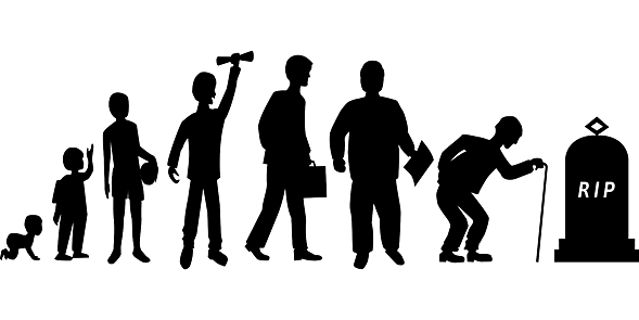 Estudio del ciclo vital