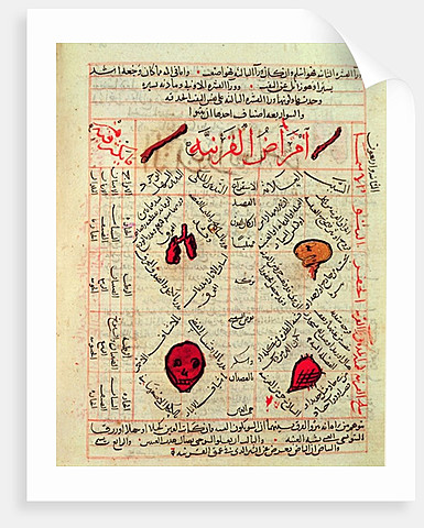 Islamic Golden Age (8th Century - 14th Century)