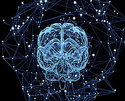 Cognitive psychology