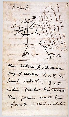 Darwin's Tree of Life **