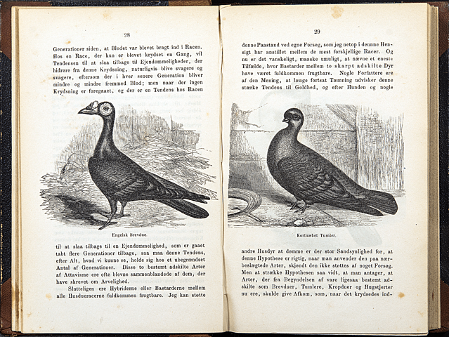 The Origin of Species **