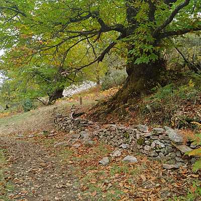 Timeline: Proyecto Geoparque