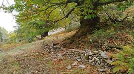 Timeline: Proyecto Geoparque