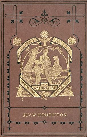 Naturalist Movement (19th Century) **