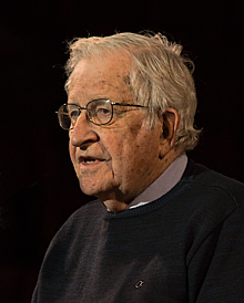 Noam Chomsky (Theory of Language development)