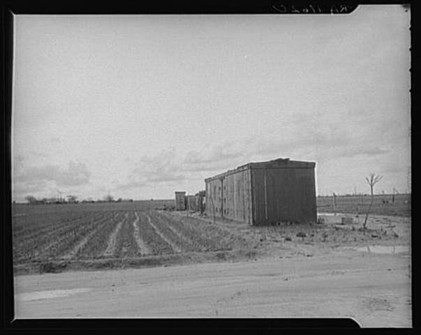 freight car migrants
