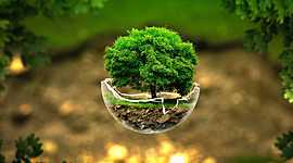 Timeline: Великие русские биологи