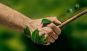 Cumbre de Rio de Janeiro