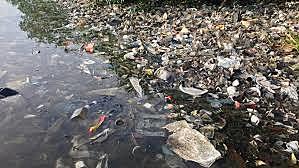 Lots of sewage and waste being dumped into the bay