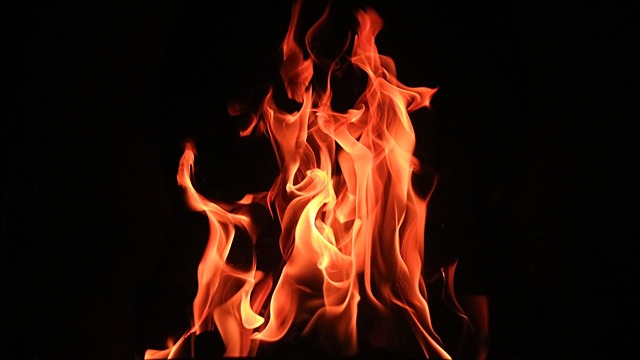 The Reichstag burns down.