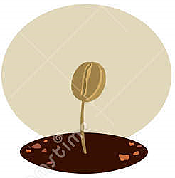 Germinação de semente