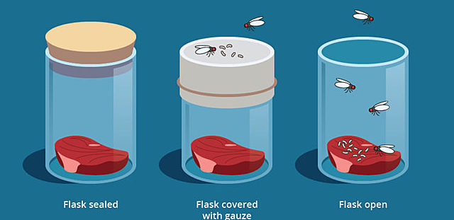 Generación espontánea