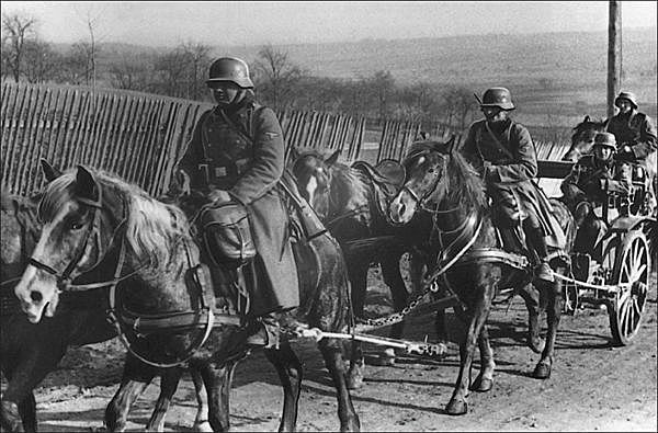 SS becomes independent and gains control overseeing the concentration.