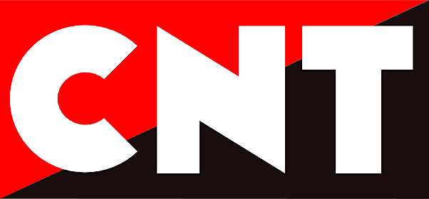 CREACIÓN DE CNT