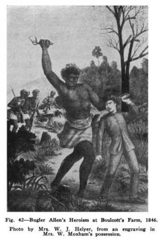 Boulcotts Farm attacked