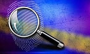 Congressional Investigation (1972)