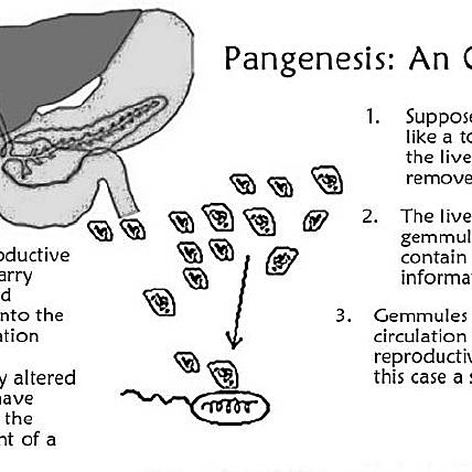 Pangénesis, teoría de las gémulas