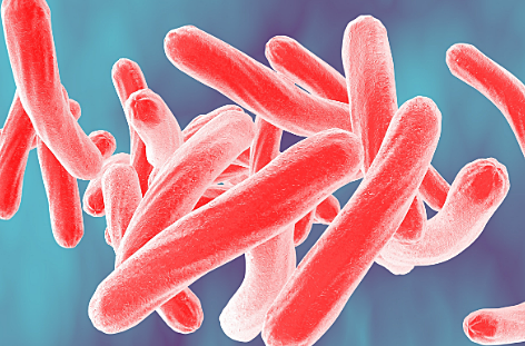 KOCH BACILO DE LA TUBERCULOSIS) 2 REVOLUCIÓN INDUSTRIAL (MEDICINA)