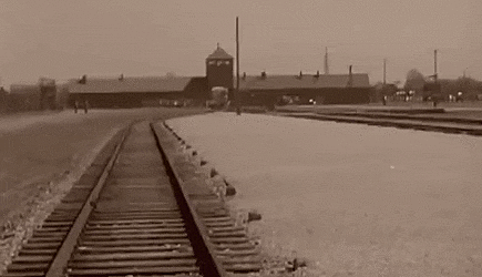 Tyskland tar över Österrike 1938