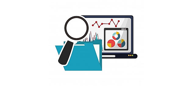 Auditoria Gubernamental